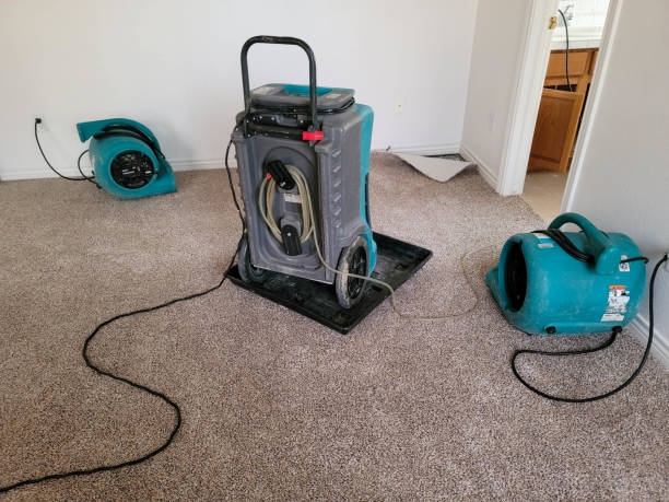 Best Water damage cleanup near me  in Yarmouth Port, MA