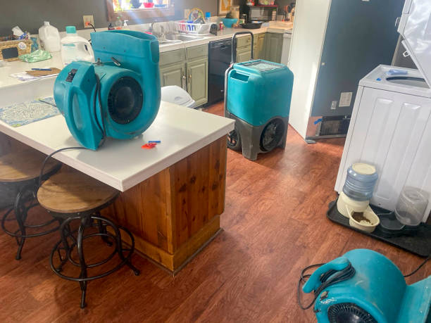 Best Fire Damage Restoration  in Yarmouth Port, MA