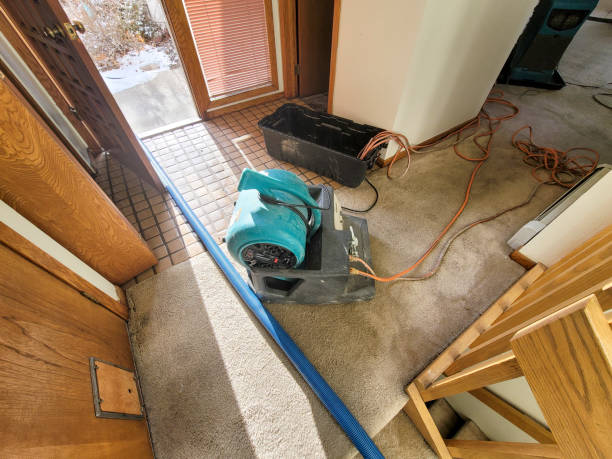 Best 24/7 water damage repair  in Yarmouth Port, MA