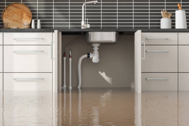 Best Basement water damage restoration  in Yarmouth Port, MA